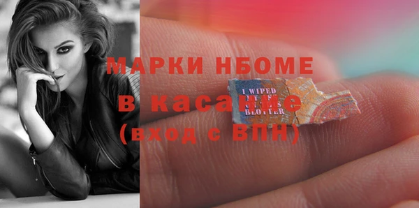 гидра Алексин
