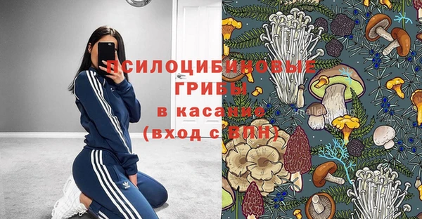 гидра Алексин