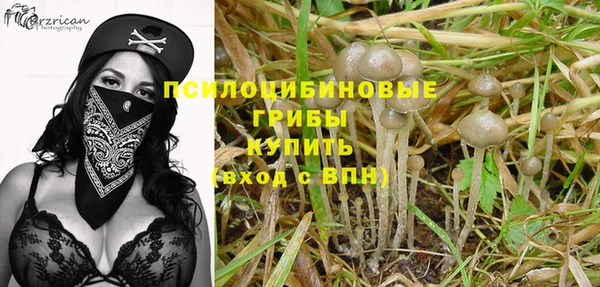 прущий лед Алексеевка