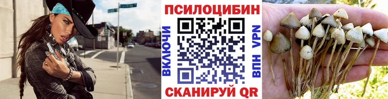 что такое   Евпатория  Псилоцибиновые грибы ЛСД 